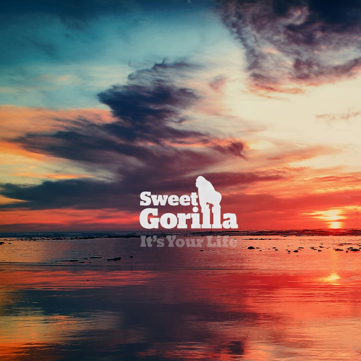 Sweet Gorilla Reclaims the Spotlight with “It’s Your Life”